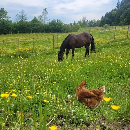 Lieblingsplatz Lägenhet *