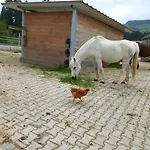 Lieblingsplatz Διαμέρισμα *