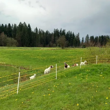 Lieblingsplatz * Weiler-Simmerberg