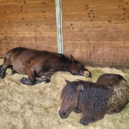 Lieblingsplatz 바일러-지머베르크