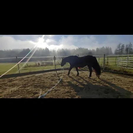 Lieblingsplatz Weiler-Simmerberg