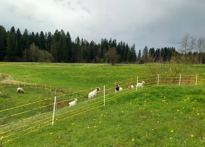 Lieblingsplatz * Weiler-Simmerberg